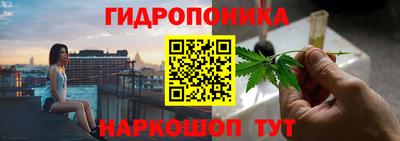 бошки Лесосибирск