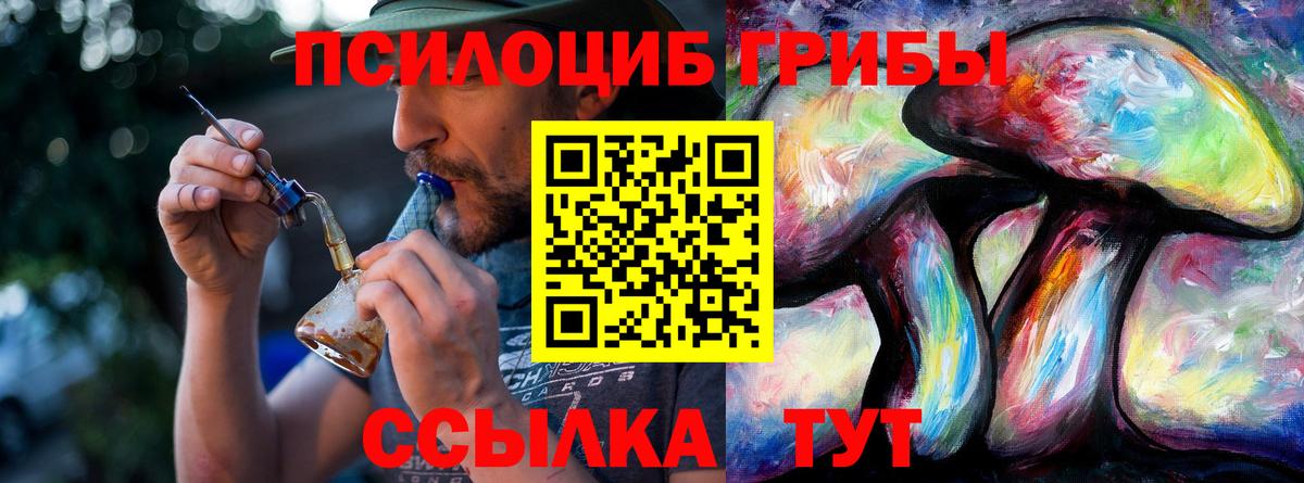Псилоцибиновые грибы прущие грибы Воронеж